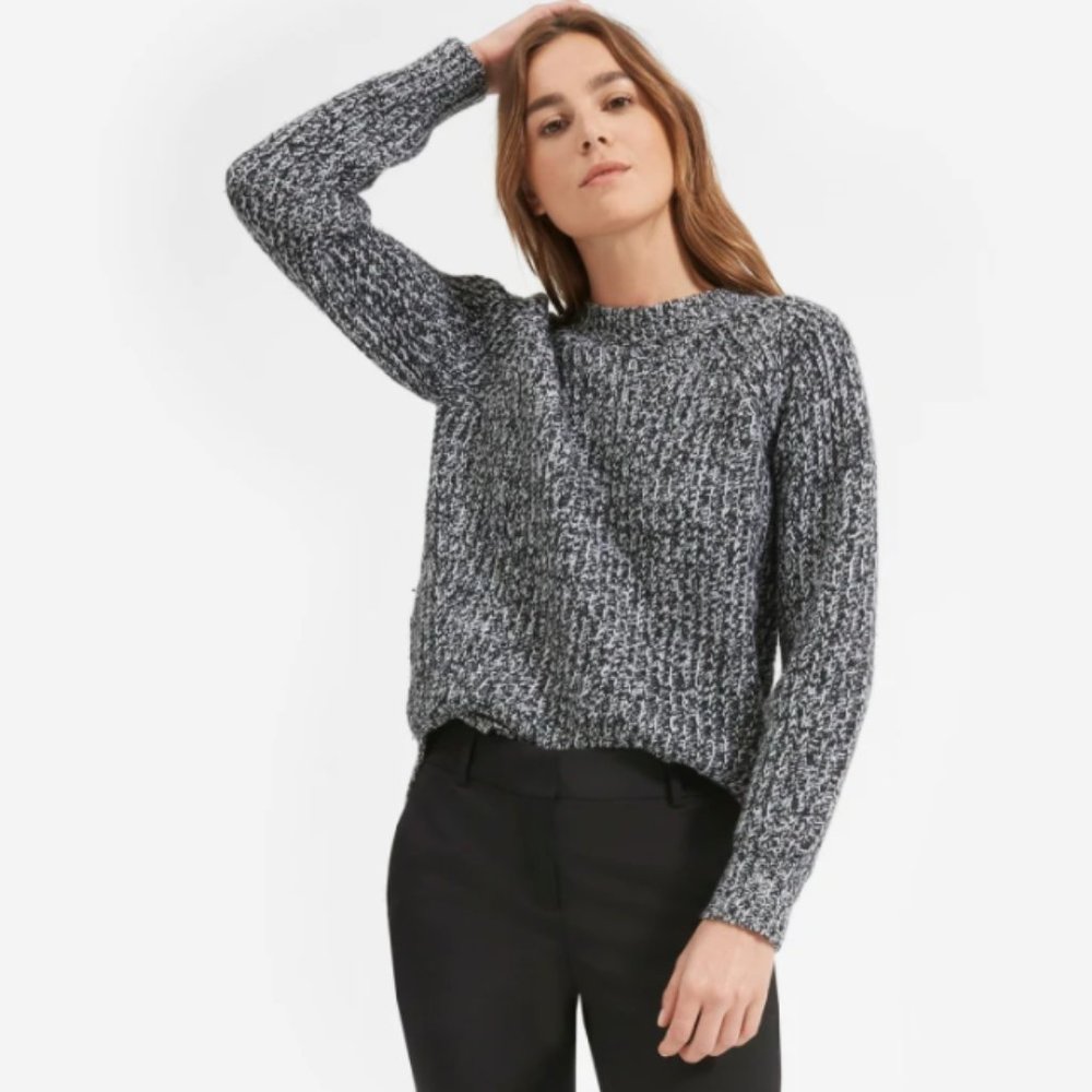 Everlane Chunky Wool Rib Knit Crew Sweater Sz S